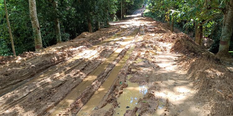 সিপাহীজলা অভয়ারণ্যে যাতায়াতের মূল সড়কপথটি বেহাল দশায় পরিণত