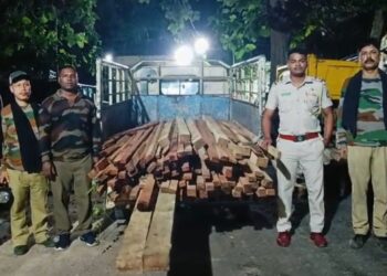 পাচারকালে প্রচুর পরিমাণে বেআইনি কাঠ উদ্ধার