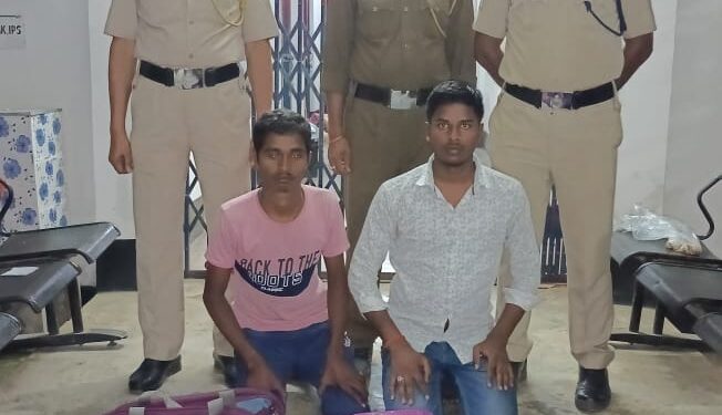 ৩ কেজি শুঁকনো গাঁজা সহ ১৯২ বোতল এসকাপ উদ্ধার!