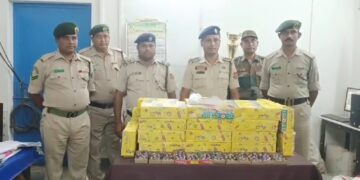 বিপুল পরিমাণে অবৈধ শব্দবাজি আটক!