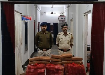 বিশাল পরিমাণ নেশা সামগ্রী আটক আগরতলা রেল স্টেশনে