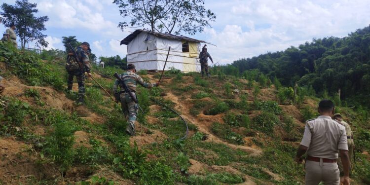 সুতারমুড়া ভিলেজ কাউন্সিল এলাকায় গাঁজা বাগান ধ্বংস করল বিশ্রামগঞ্জ থানার পুলিশ!