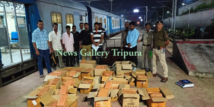 বিপুল পরিমাণ শুঁকনো গাঁজা সহ আগরতলা রেল স্টেশন পুলিশের হাতে আটক দুই!