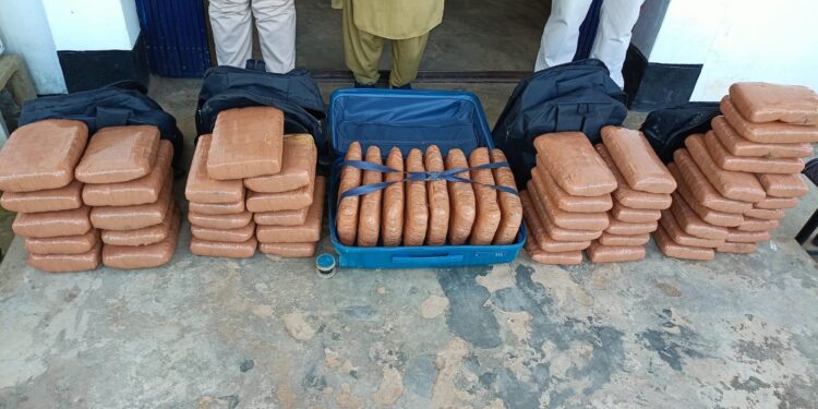 ৬৭ কেজি শুঁকনো গাঁজা উদ্ধার!