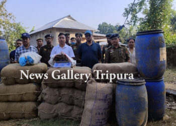 ৩০৩ কেজি শুঁকনো গাঁজা উদ্ধার!