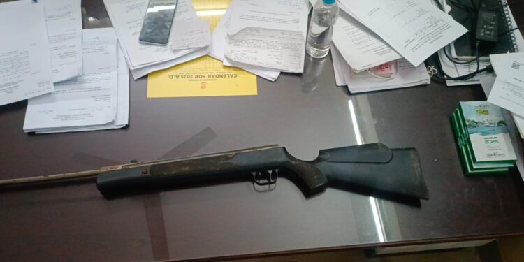 গাঁজা বাগান থেকে উদ্ধার এয়ারগান!