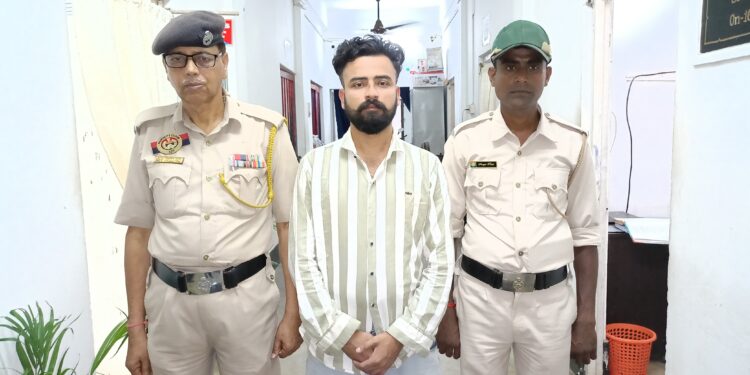 ১২ কেজি শুঁকনো গাঁজা সহ পুলিশের হাতে আটক এক