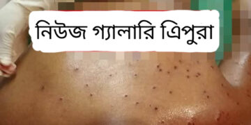 পাচারকারীদের লক্ষ্য করে গুলি ছুড়ে বিএসএফ!