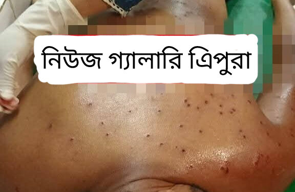 পাচারকারীদের লক্ষ্য করে গুলি ছুড়ে বিএসএফ!
