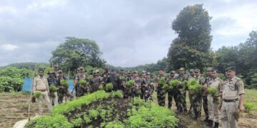 সোনামুড়া থানার গাঁজা বিরোধী অভিযান