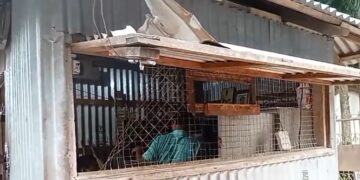 বিশালগড়ের বিভিন্ন জায়গায় হাত সাফ করে দিল চোরের দল