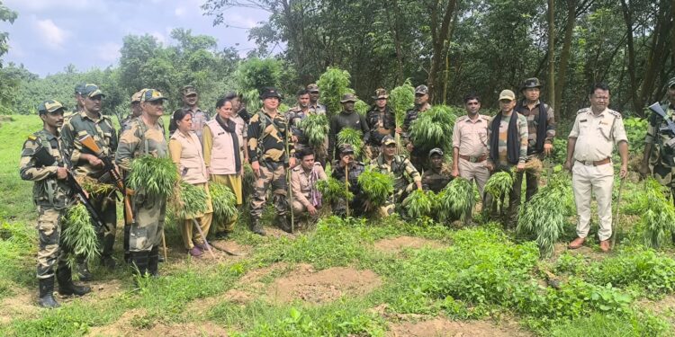 সোনামুড়া থানার ওসির নেশার বিরুদ্ধে জিহাদ ঘোষণা!