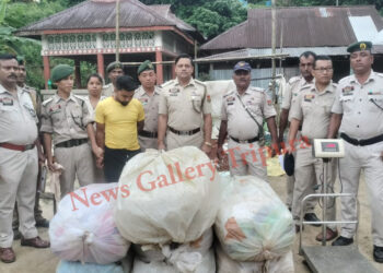 ১৭৩ কেজি শুঁকনো গাঁজা সহ মধুপুর থানার পুলিশের হাতে আটক এক