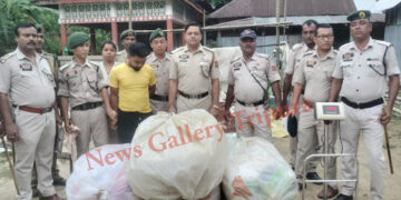 ১৭৩ কেজি শুঁকনো গাঁজা সহ মধুপুর থানার পুলিশের হাতে আটক এক