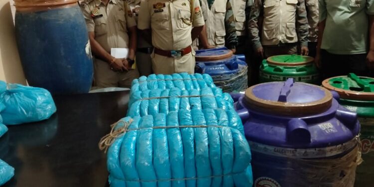 বিপুল পরিমাণ শুঁকনো গাঁজা উদ্ধার