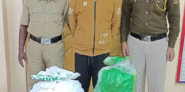 নেশা সামগ্রী সহ পুলিশের হাতে আটক এক নেশা কারবারি