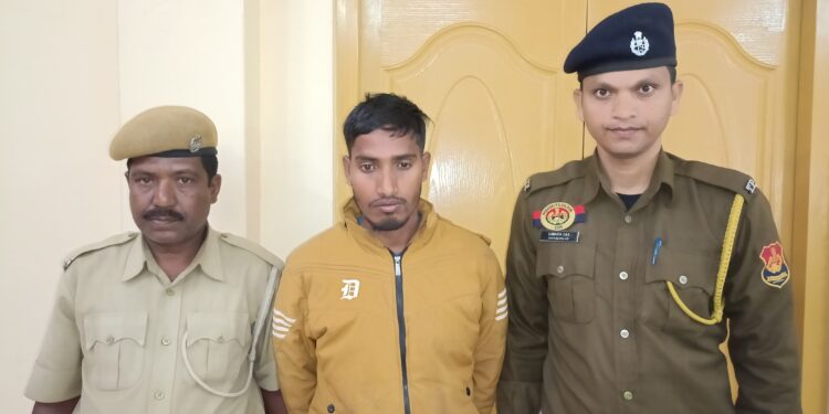 নেশা সামগ্রী সহ পুলিশের হাতে আটক এক নেশা কারবারি