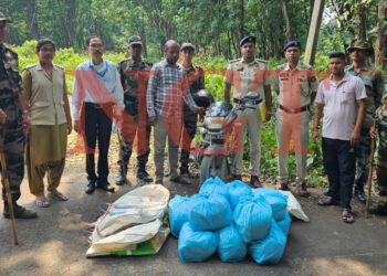 ২৪ কেজি শুঁকনো গাঁজা সহ পুলিশের হাতে আটক এক