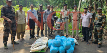 ২৪ কেজি শুঁকনো গাঁজা সহ পুলিশের হাতে আটক এক