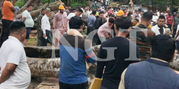 কালবৈশাখীর তাণ্ডবে লন্ডভন্ড অবস্থা গোটা রাজ্য!