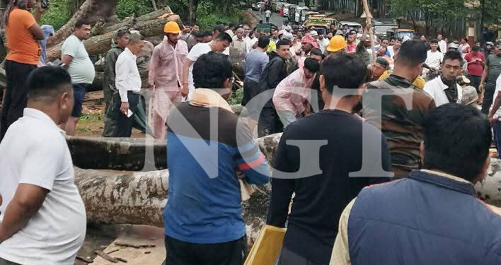 কালবৈশাখীর তাণ্ডবে লন্ডভন্ড অবস্থা গোটা রাজ্য!